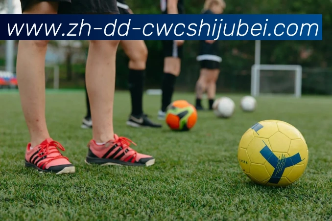 世界杯买球平台生态图