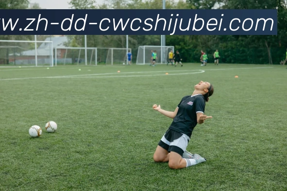 世界杯买球APP 封面图