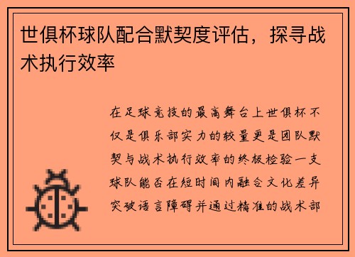世俱杯球队配合默契度评估，探寻战术执行效率